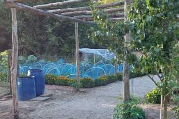 Vrij te bezoeken Wijkmoestuin Landweert met bloemen, groenten, kruiden en bijenkasten