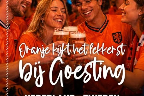 WK Voetbal  Nederland - Zweden bij Goesting