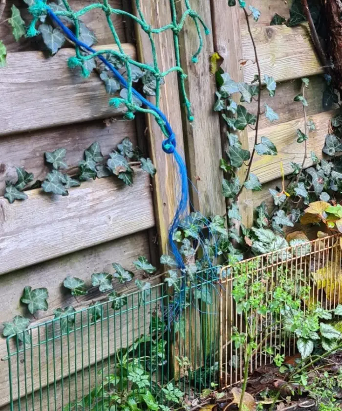 IVN- Geysteren-Venray: Lezing: Biodiversiteit in de stad door Dr. Marco Roos