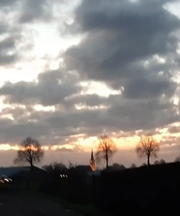 IVN Geysteren-Venray: Midzomernachtwandeling in het Stadspark Venray